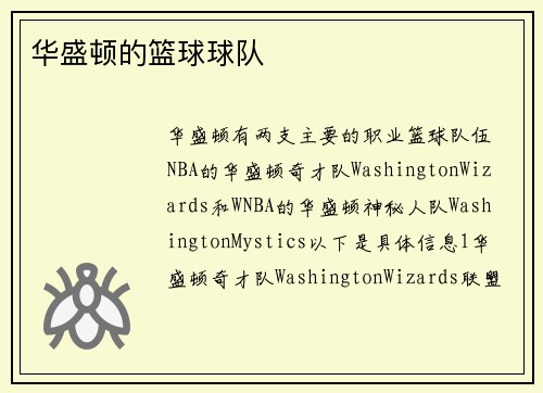 华盛顿的篮球球队